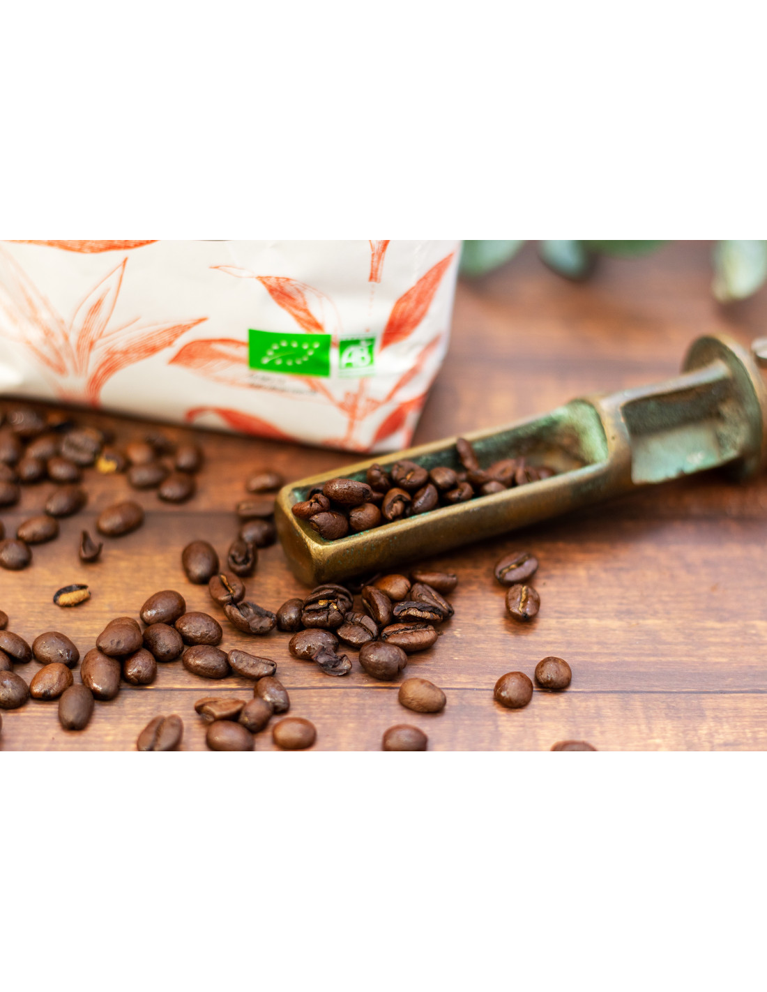 Café Mexique Bio en Grain 450gr Café Mexique Bio en Grain 450gr